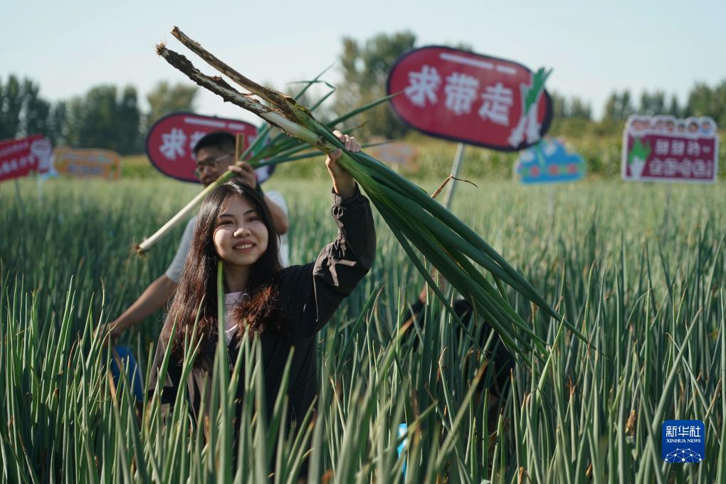 正规捕鱼游戏